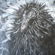 Condor_card