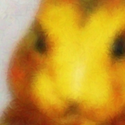 Woodrabbit-640x480_card