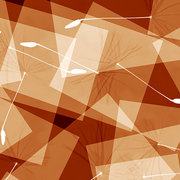 Freefall_card