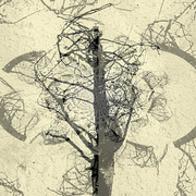 ______3267-14_card