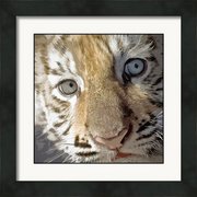 Renderer-7_card