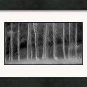 Renderer-8_card