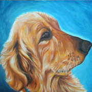 Buddy-resized_card