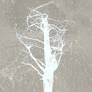 ______3267-6_card
