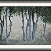 Renderer-13_card