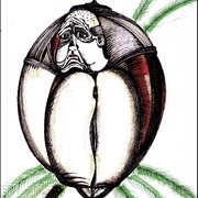 File00022_copy_card