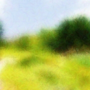 Gardenpath-640x480_card