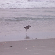 P6250732_card