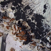 Dscf3317_card