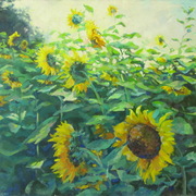 Img_1546_card