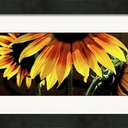 Renderer-26_card