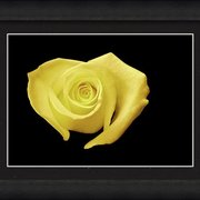 Renderer-36_card