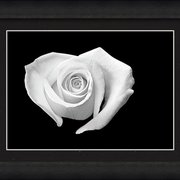 Renderer-35_card