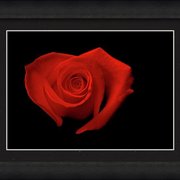 Renderer-34_card