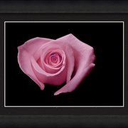Renderer-32_card