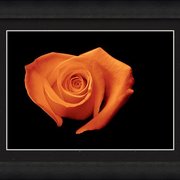 Renderer-31_card