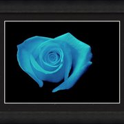 Renderer-30_card