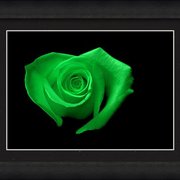 Renderer-29_card