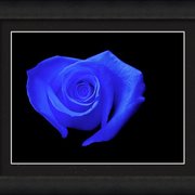 Renderer-28_card
