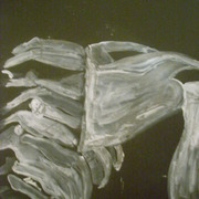 Dscn3337_card