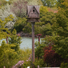 Birdhouse_thumb