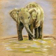 Baby_elephant_card