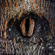 Dscf3561_copy_card