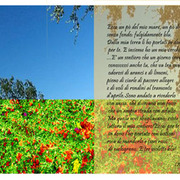 Primavera_ajara-1_copia1_card