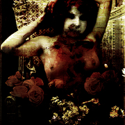 Pretty_toy_card