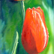 Blühende_kindheit-5x17_card