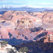 Grand_canyon_17x7_card