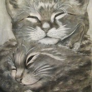 Contentment1w_card