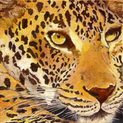 Leo_13x13_card