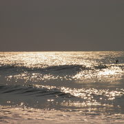 P7020043_card