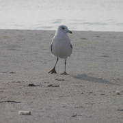 P7020061_card