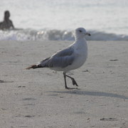 P7020073_card