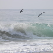 P7020021_card