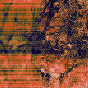 ______3498-2_card