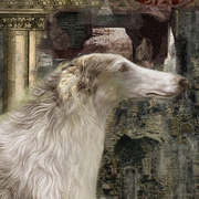 Column_of_the_time-_borzoi_card