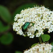 _uczek_w_valbone_ma_y1_card
