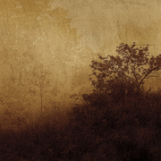 Mornings_in_moravia_card
