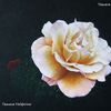 Rose2_thumb