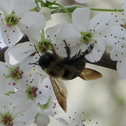Img_1446_card