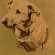 Dog2_card