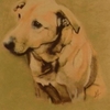 Dog2_thumb