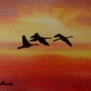 Gedc3566_card
