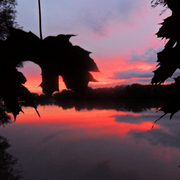 Sunset_1_card
