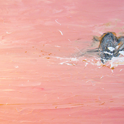 Dsc_6313_card