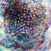 2introspective_orig_card