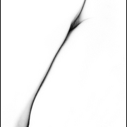 Simplicity_card